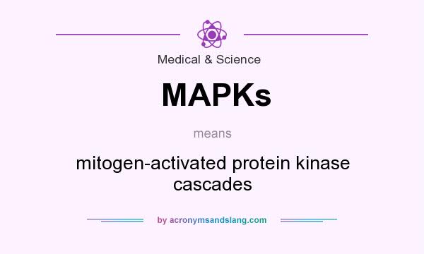 What does MAPKs mean? It stands for mitogen-activated protein kinase cascades