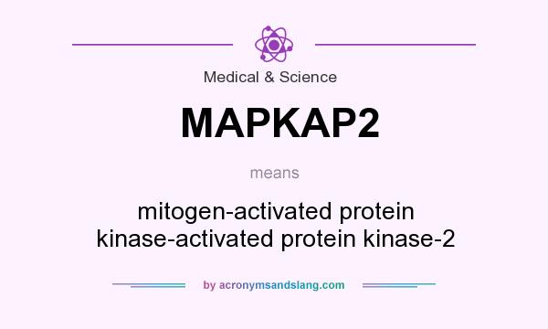 What does MAPKAP2 mean? It stands for mitogen-activated protein kinase-activated protein kinase-2
