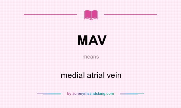 What does MAV mean? It stands for medial atrial vein