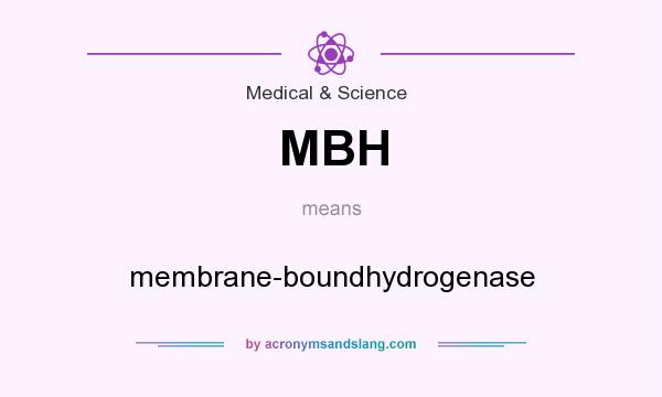 What does MBH mean? It stands for membrane-boundhydrogenase