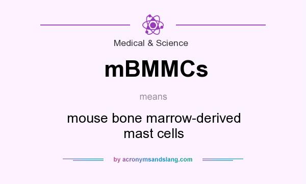 What does mBMMCs mean? It stands for mouse bone marrow-derived mast cells