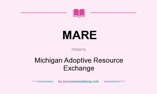 What does MARE mean? It stands for Michigan Adoptive Resource Exchange