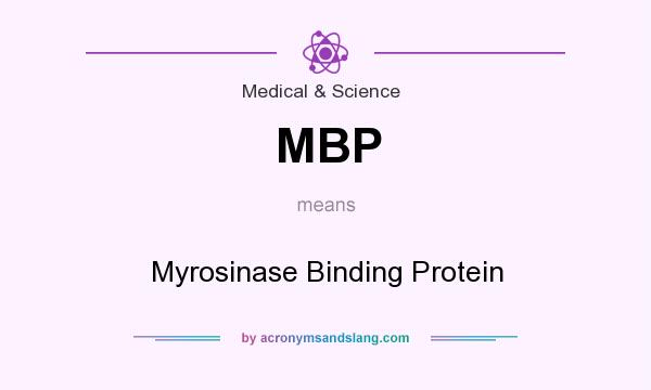 What does MBP mean? It stands for Myrosinase Binding Protein