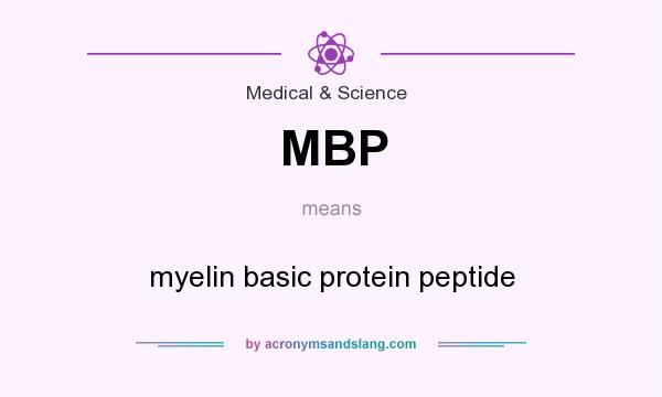 What does MBP mean? It stands for myelin basic protein peptide