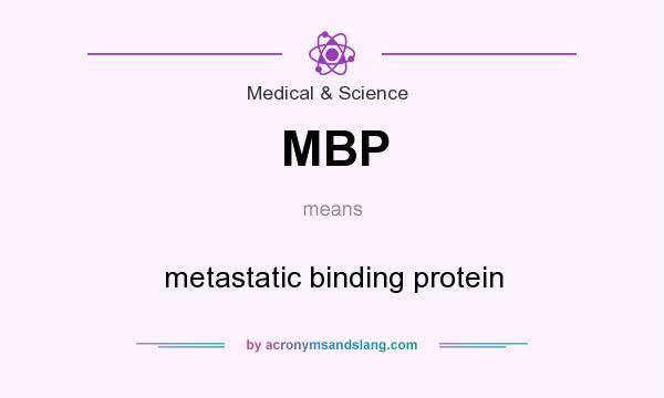 What does MBP mean? It stands for metastatic binding protein