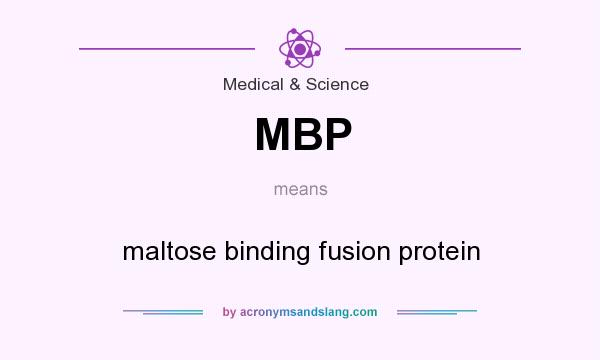 What does MBP mean? It stands for maltose binding fusion protein