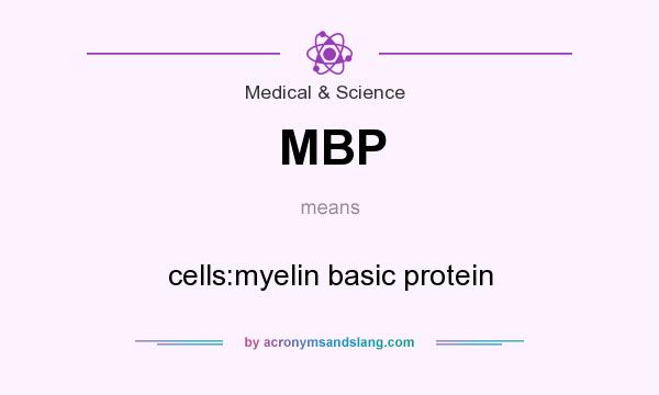 What does MBP mean? It stands for cells:myelin basic protein