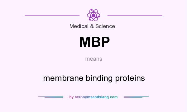 What does MBP mean? It stands for membrane binding proteins