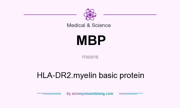 What does MBP mean? It stands for HLA-DR2.myelin basic protein