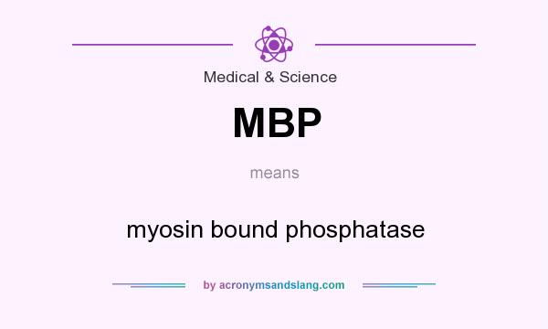 What does MBP mean? It stands for myosin bound phosphatase
