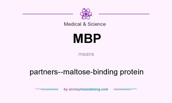 What does MBP mean? It stands for partners--maltose-binding protein