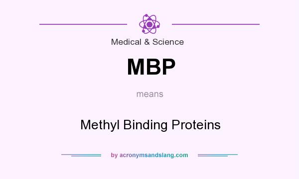 What does MBP mean? It stands for Methyl Binding Proteins