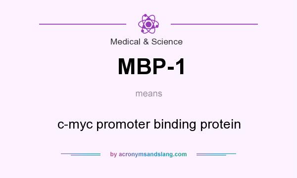 What does MBP-1 mean? It stands for c-myc promoter binding protein