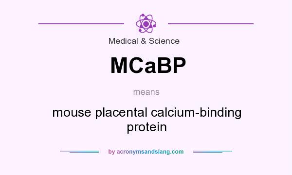 What does MCaBP mean? It stands for mouse placental calcium-binding protein