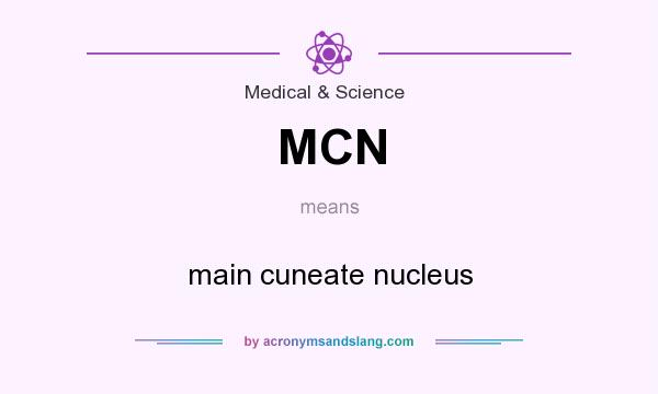What does MCN mean? It stands for main cuneate nucleus
