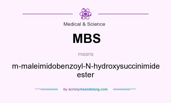 What does MBS mean? It stands for m-maleimidobenzoyl-N-hydroxysuccinimide ester