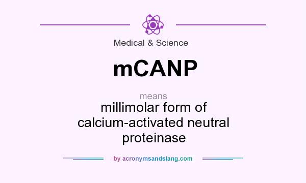 What does mCANP mean? It stands for millimolar form of calcium-activated neutral proteinase