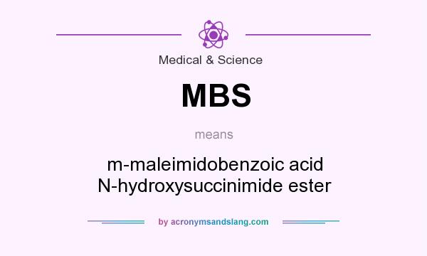 What does MBS mean? It stands for m-maleimidobenzoic acid N-hydroxysuccinimide ester