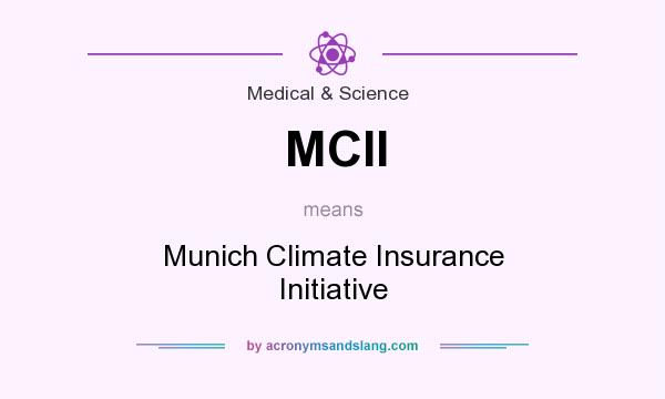 What does MCII mean? It stands for Munich Climate Insurance Initiative