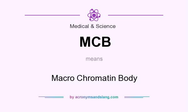 What does MCB mean? It stands for Macro Chromatin Body