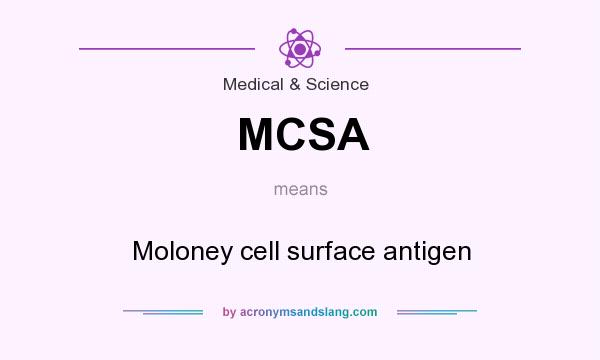 What does MCSA mean? It stands for Moloney cell surface antigen