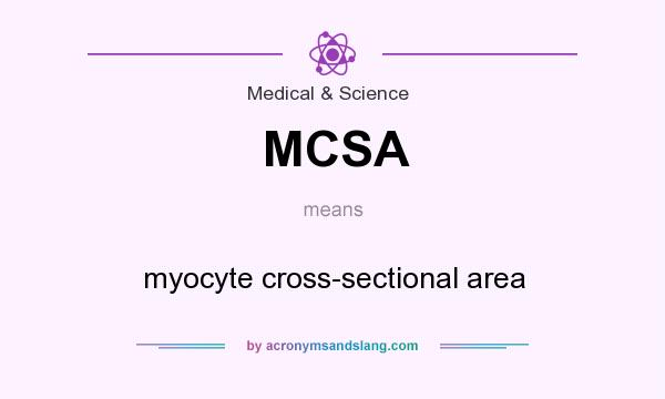 What does MCSA mean? It stands for myocyte cross-sectional area