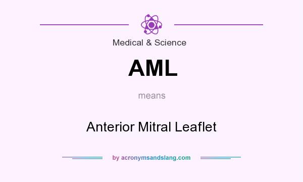 What does AML mean? It stands for Anterior Mitral Leaflet