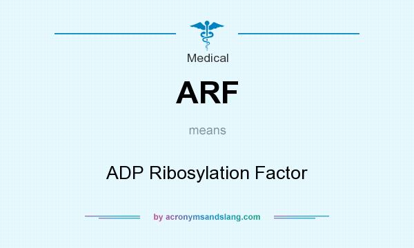 What does ARF mean? It stands for ADP Ribosylation Factor
