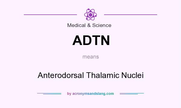 What does ADTN mean? It stands for Anterodorsal Thalamic Nuclei