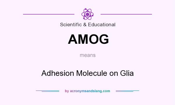 What does AMOG mean? It stands for Adhesion Molecule on Glia