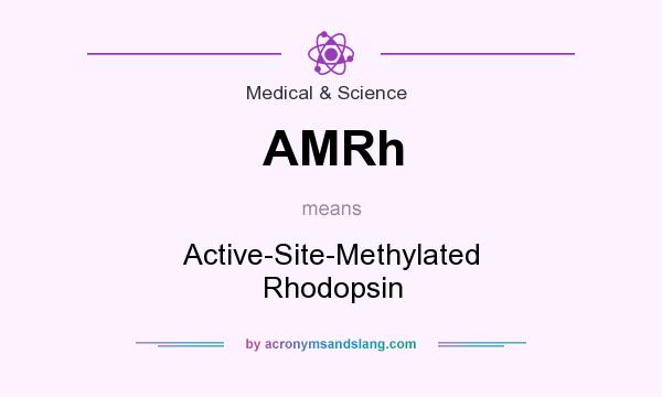 What does AMRh mean? It stands for Active-Site-Methylated Rhodopsin