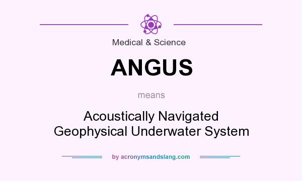 What does ANGUS mean? It stands for Acoustically Navigated Geophysical Underwater System