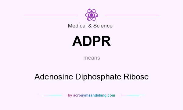 What does ADPR mean? It stands for Adenosine Diphosphate Ribose