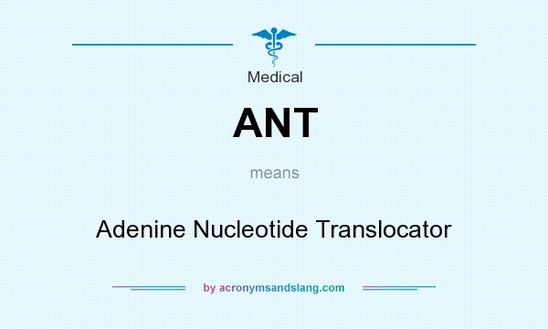 What does ANT mean? It stands for Adenine Nucleotide Translocator
