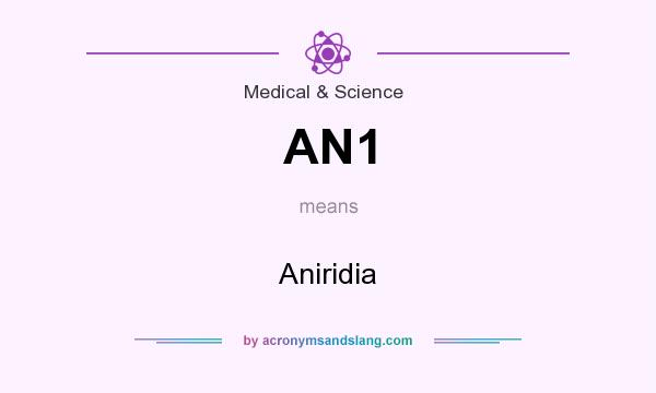 What does AN1 mean? It stands for Aniridia