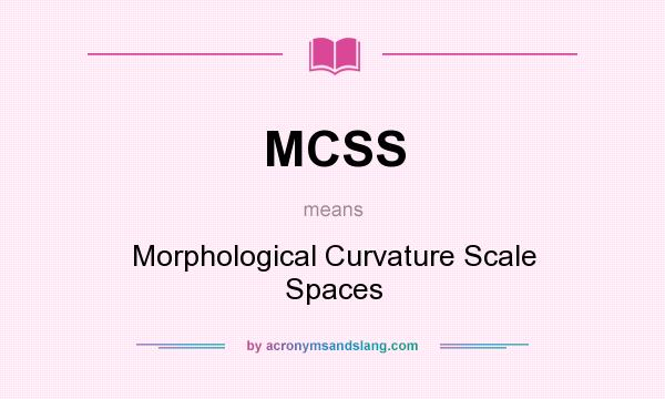 What does MCSS mean? It stands for Morphological Curvature Scale Spaces