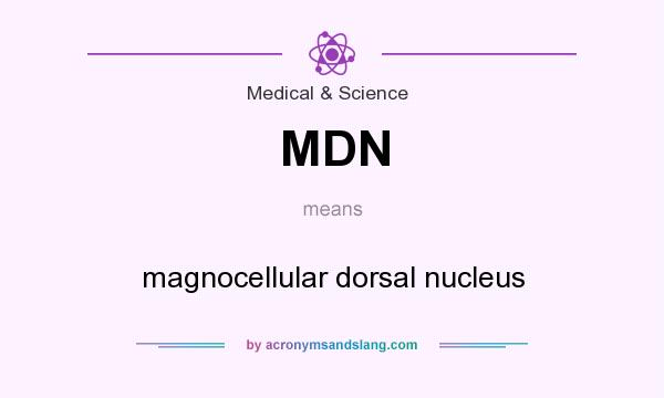 What does MDN mean? It stands for magnocellular dorsal nucleus