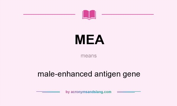 What does MEA mean? It stands for male-enhanced antigen gene