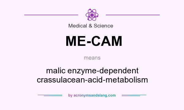 What does ME-CAM mean? It stands for malic enzyme-dependent crassulacean-acid-metabolism