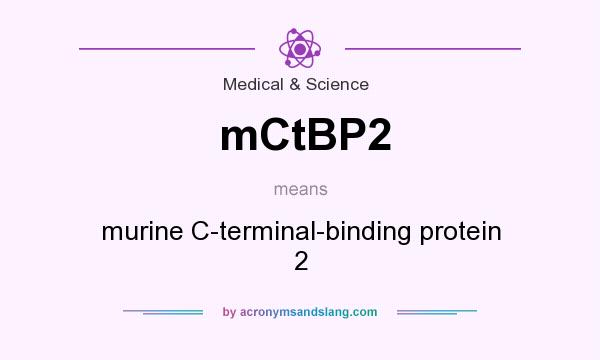 What does mCtBP2 mean? It stands for murine C-terminal-binding protein 2