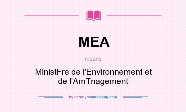 What does MEA mean? It stands for MinistFre de l`Environnement et de l`AmTnagement