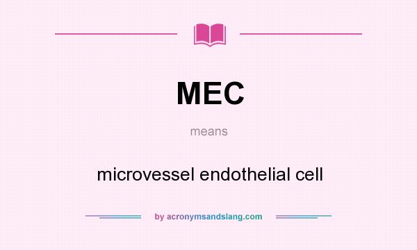 What does MEC mean? It stands for microvessel endothelial cell