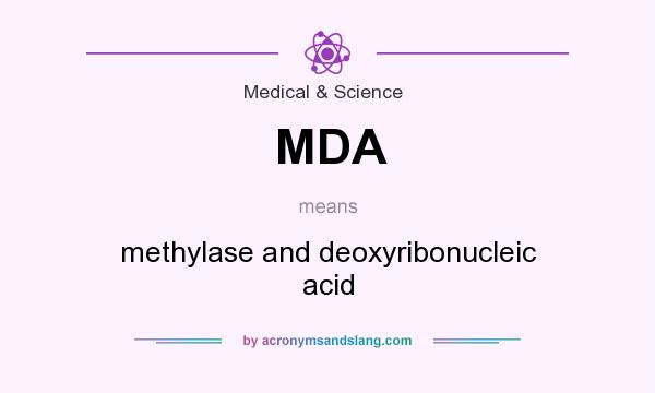 What does MDA mean? It stands for methylase and deoxyribonucleic acid