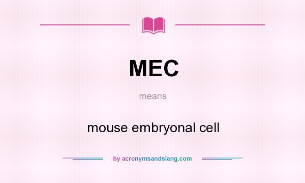 What does MEC mean? It stands for mouse embryonal cell
