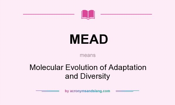 What does MEAD mean? It stands for Molecular Evolution of Adaptation and Diversity