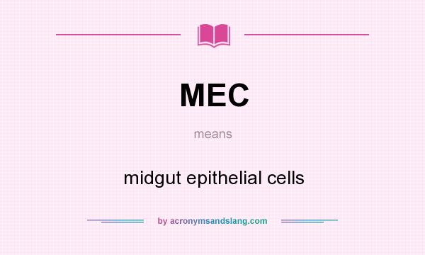 What does MEC mean? It stands for midgut epithelial cells