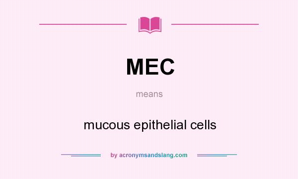 What does MEC mean? It stands for mucous epithelial cells