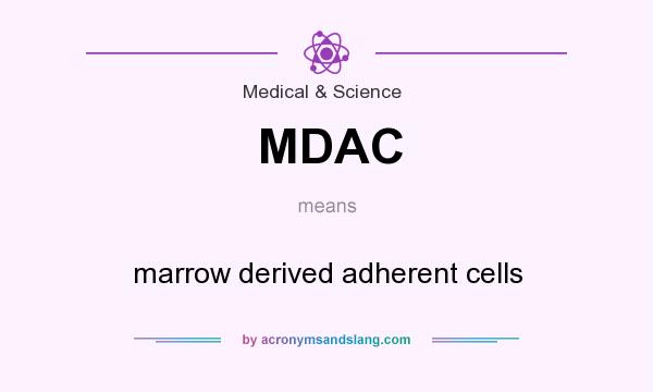 What does MDAC mean? It stands for marrow derived adherent cells