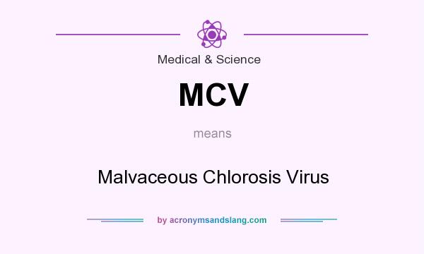 What does MCV mean? It stands for Malvaceous Chlorosis Virus