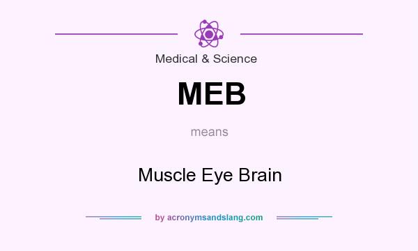 What does MEB mean? It stands for Muscle Eye Brain